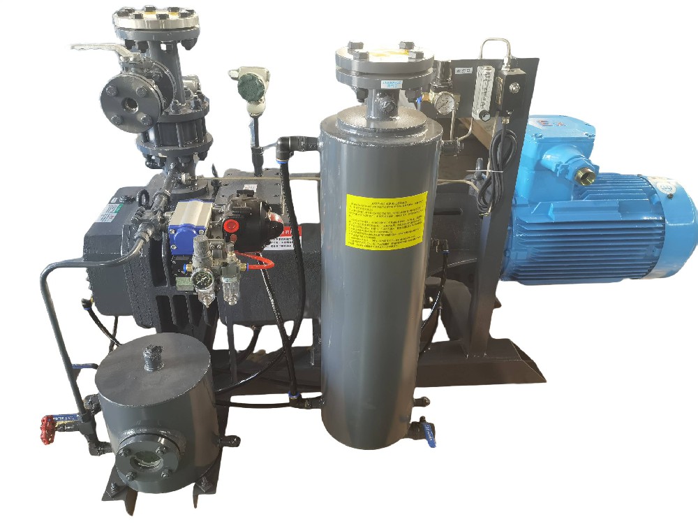 DVPS型無(wú)油螺桿真空泵